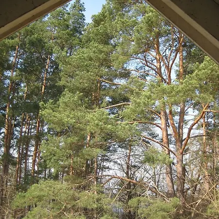 Дом отдыха Nahe-dem-strand-haus-seeglueck-am-useriner-see-mit-garten *